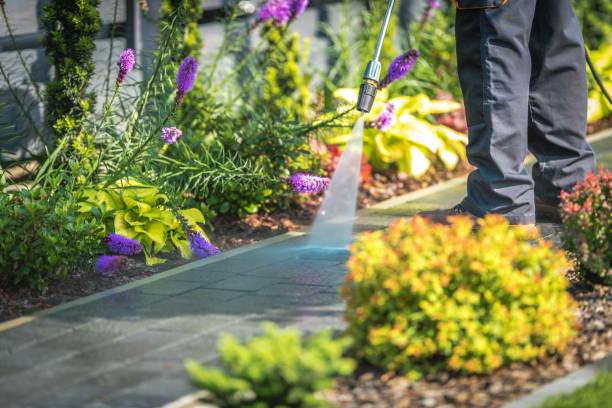 Big River, CA Pressure Washing Services Company